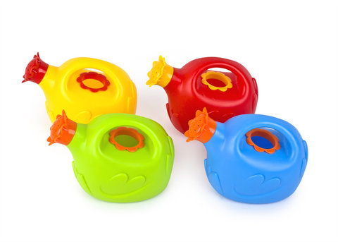 Little Hen Water Bottle Beach Toy