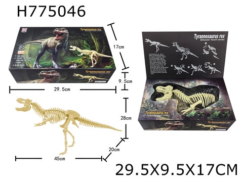 Tyrannosaurus rex skeleton fossil