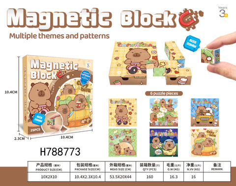 Kapibala Magnetic Building Block 25 Particles