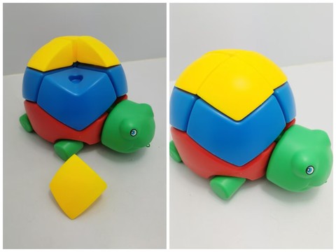Build turtles together