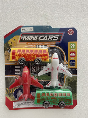 Taxi bus + plane