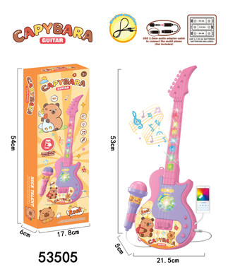 Lights, music, guitar with microphone, Kapibala