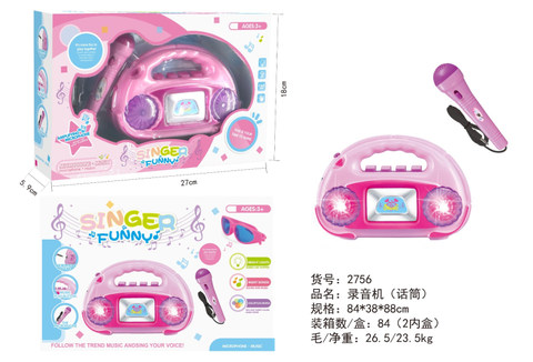 Voice recorder (microphone)