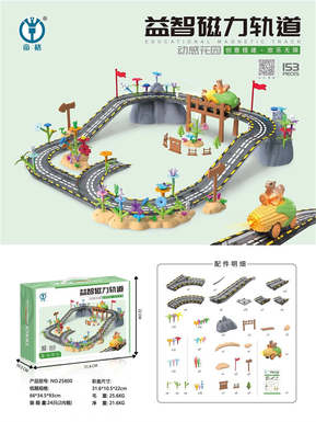 Puzzle Magnetic Track 153PCS