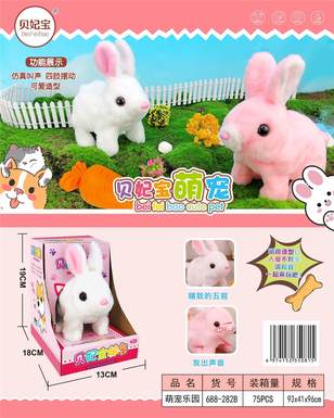 Cute pet rabbit