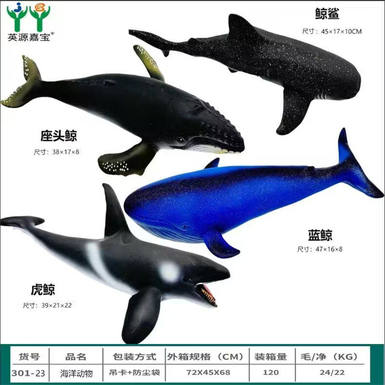 6 types of marine animals