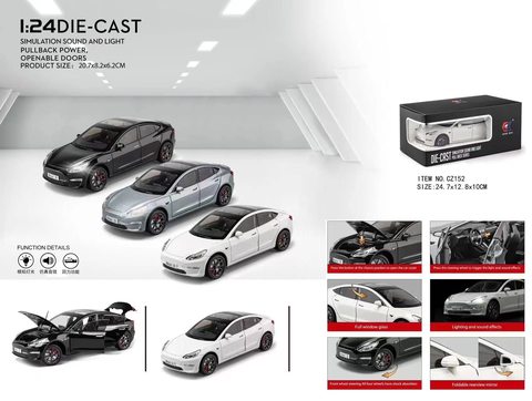 1:24 Tesla Model 3 (foam box)