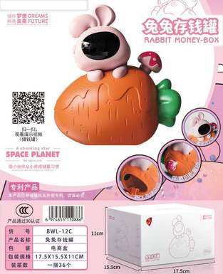Tutu piggy bank