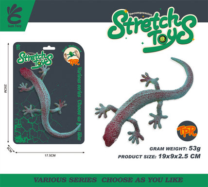 Gecko(lizard)