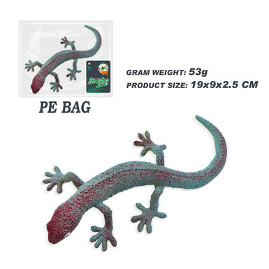 Gecko(lizard)