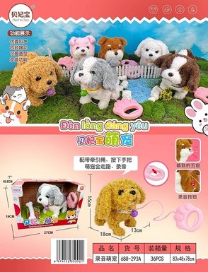 Recording Cute Pet