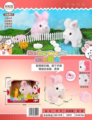 Cute pet animals
