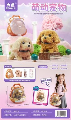 Cute pets