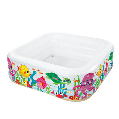 Aquarium pool inflatable toy