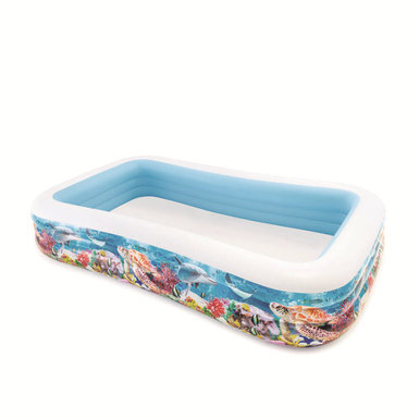 Tropical fish family swimming pool