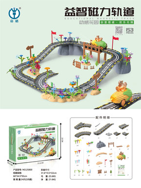 Puzzle Magnetic Track 153PCS