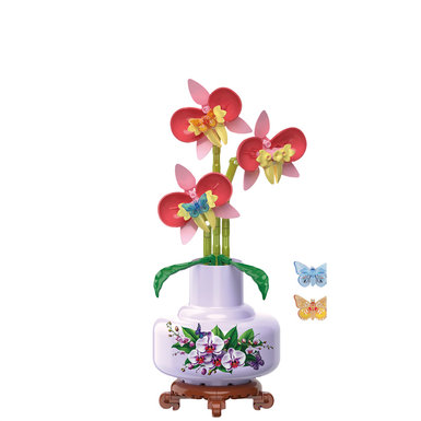 orchid