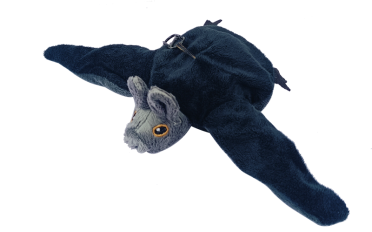 bats