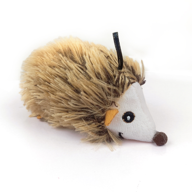 vocal hedgehog