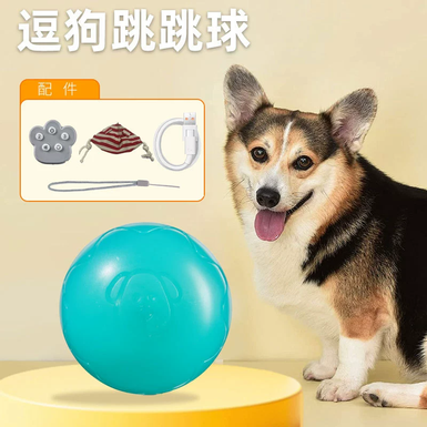 Amuse dog jumping ball + cloth bag (green)