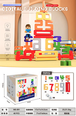 Building with digital blocks