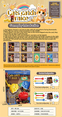 Cat and Mouse Board Game A