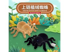 上链植绒蜘蛛上链蜘蛛