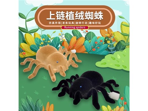 Flocked spider, chained spider, chained spider