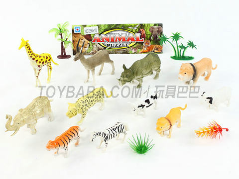 animal