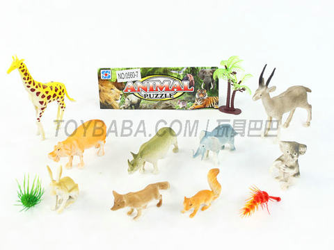 animal