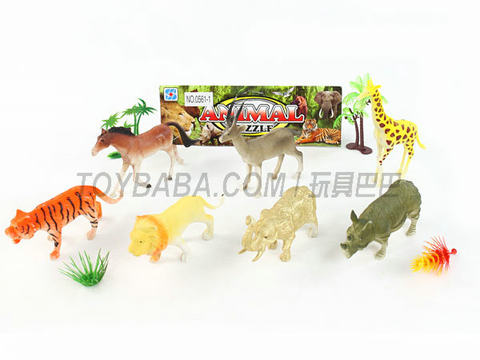 animal