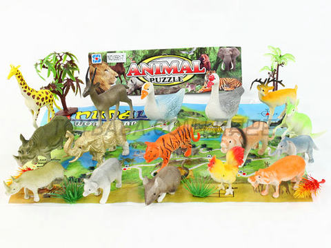 Animals + Map