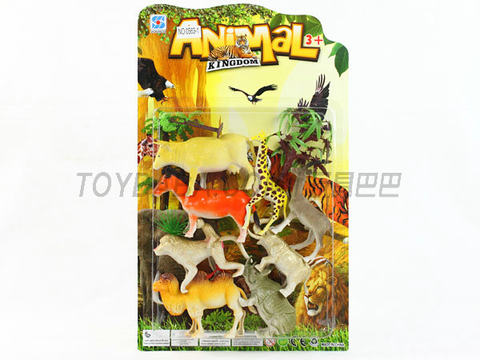 animal