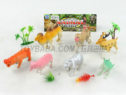 animal