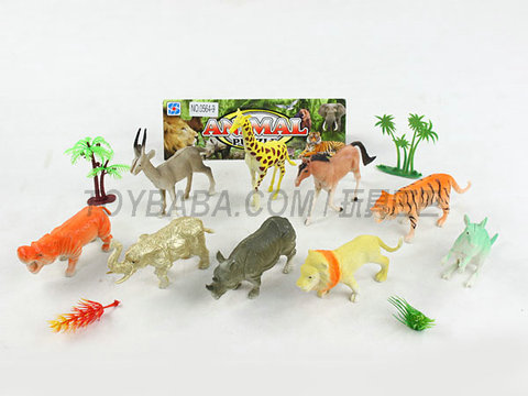 animal