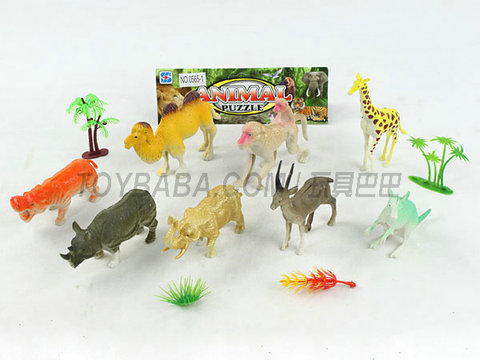 animal