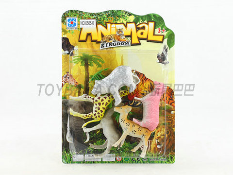 animal