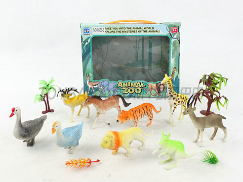 animal