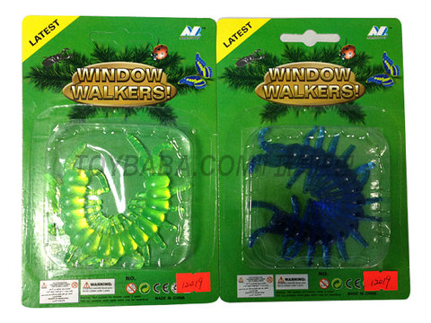 soft centipede