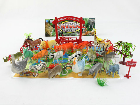Animals + Map