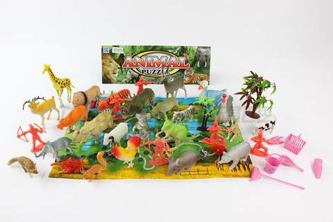 Animals + Map