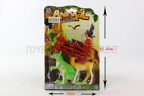 animal