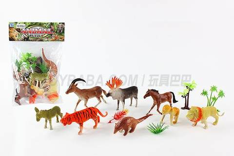 animal