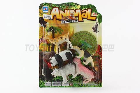 animal