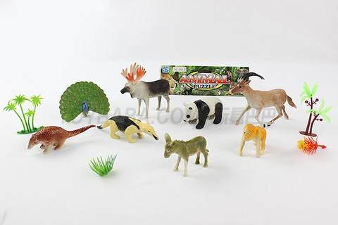 animal