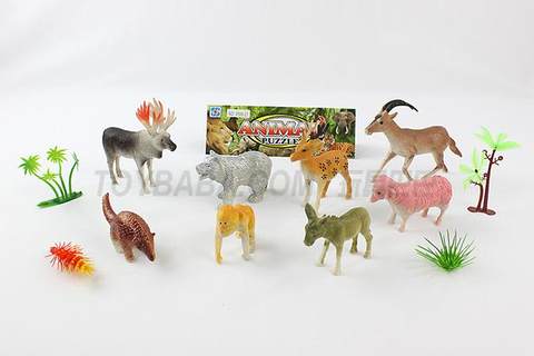 animal