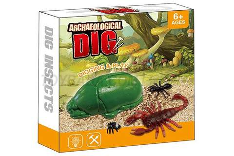 Archaeological excavation of insects (gypsum)