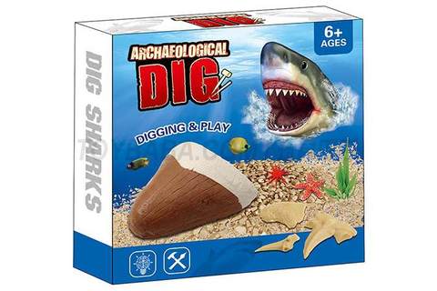 Archaeological excavation of sharks (plaster)