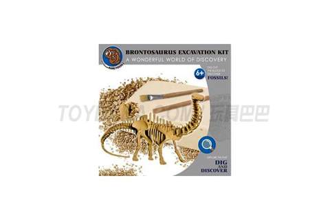 Archaeological excavation of long-necked dragon