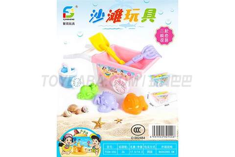 beach toys